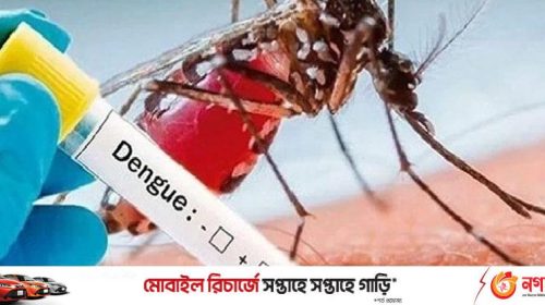 wm Dengue 19.06.2023 800x416