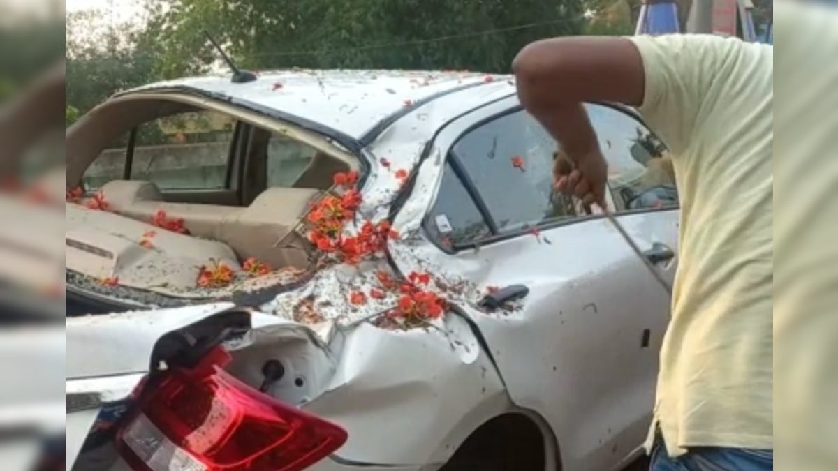 Road Accident after tree fallen on a car in panagar 1