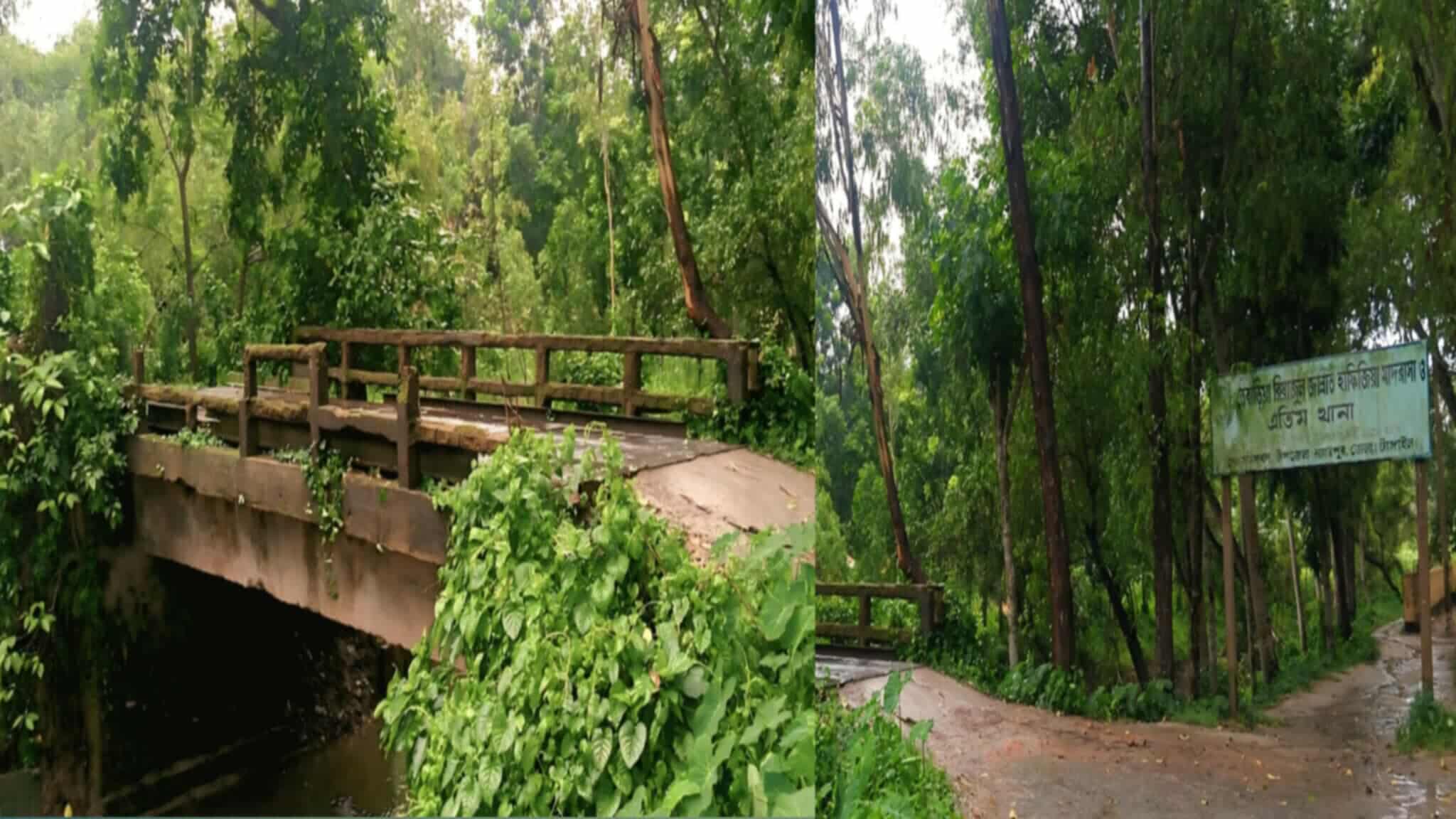 নাগরপুরের তেবাড়িয়ায় সেতুতে ঝুঁকিপূর্ণ চলাচল; দূর্ঘটনার আশংকা