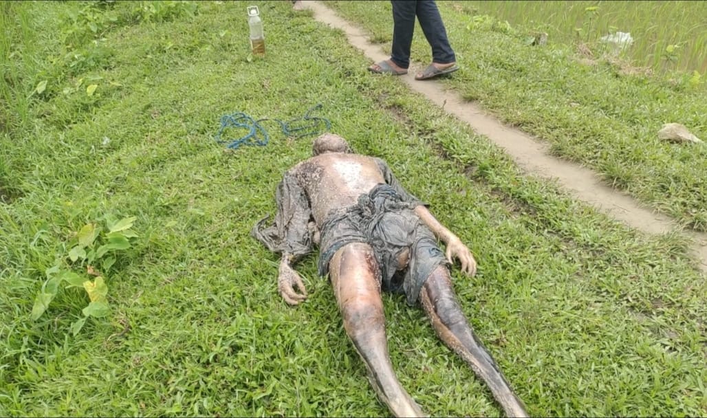 ধানক্ষেত থেকে কৃষকের অর্ধগলিত মরদেহ উদ্ধার