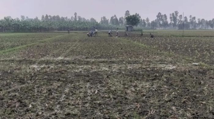 চাঁদা না দেওয়ায় জমিতে চাষাবাদে বাধা, দখলচেষ্টা ও প্রাণনাশের হুমকি