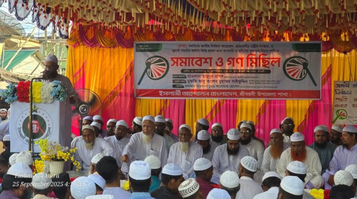 শ্রীবরদীতে ইসলামী আন্দোলন বাংলাদেের গণসমাবেশ ও মিছিল অনুষ্ঠিত