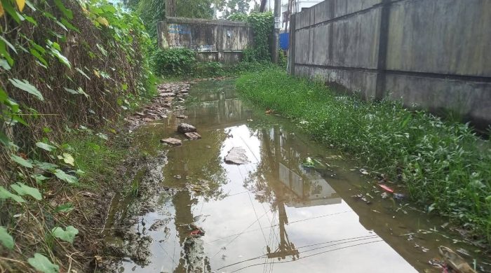 বারইয়ারহাট পৌরসভার দমদমা কবরস্থান সড়কের বেহাল দশা : জনদুর্ভোগে অতিষ্ঠ মানুষ