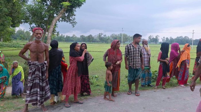 রাতের আঁধারে পুকুর থেকে ২০ লাখ টাকার মাছ লুট, আতঙ্কে গ্রামবাসী
