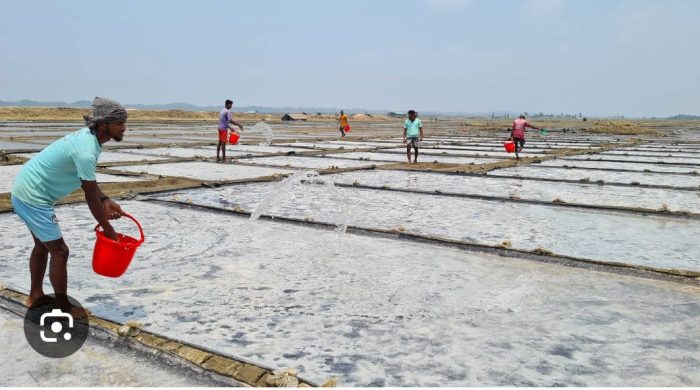 ধসে পড়ছে ‘সাদা সোনার’ দাম অবহেলায় মুখ থুবড়ে পড়ছে কুতুবদিয়ার লবণ শিল্প