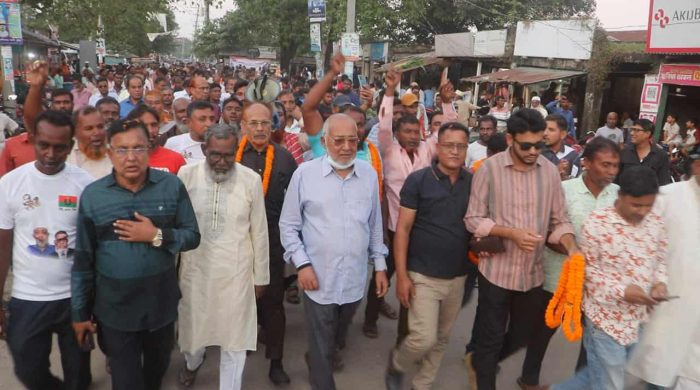 দেশের স্থিতিশীলতা ও উন্নয়নে ধানের শীষে ভোট দিন : বাচ্চু মোল্লা