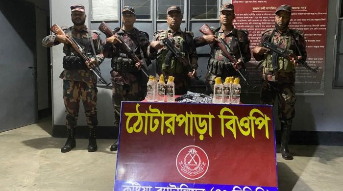 দৌলতপুর সীমান্তে বিজিবির অভিযানে লক্ষাধিক টাকার মাদক ও নকল সিগারেট জব্দ