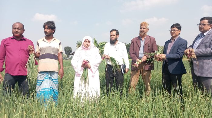 দৌলতপুরে যশোর অঞ্চলে টেকসই কৃষি সম্প্রসারণ প্রকল্পের আওতায় মাঠ দিবস অনুষ্ঠিত