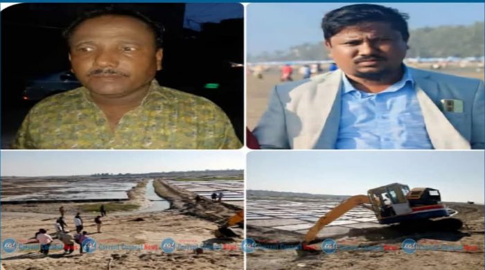 ডাকাত মজিদের নেতৃত্বে কুতুবদিয়ায় ৩০ একর প্যারাবন ধ্বংস