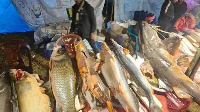 ঐতিহ্যবাহী শেরপুরের মাছের মেলা