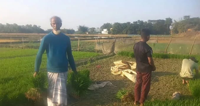 কাউয়াদীঘি হাওর পাড়ের কৃষকদের চিন্তার ভাঁজ