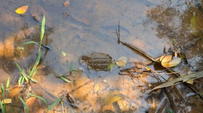 পরিত্যক্ত অবস্থায় একটি গ্ৰেনেড উদ্ধার