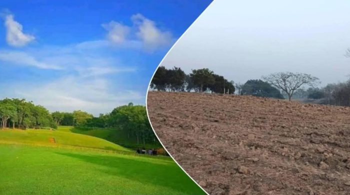 ঐতিহ্যবাহী পর্যটন কেন্দ্র গলফ মাঠ খুঁড়ে চা চাষের উদ্যোগে নিন্দা