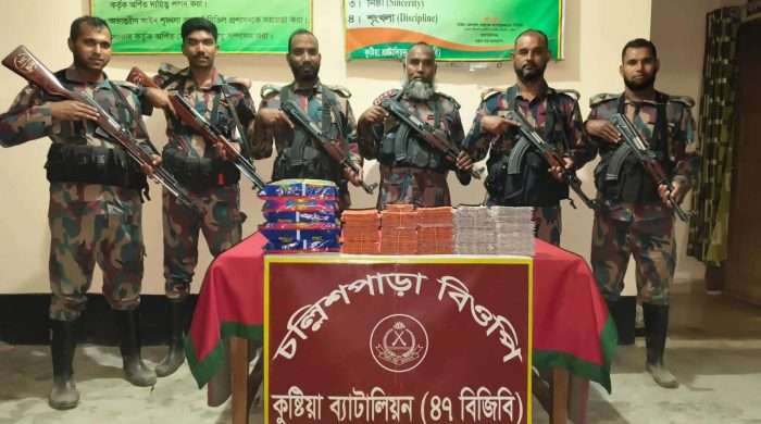 দৌলতপুর সীমান্তে বিজিবির অভিযানে বিপুল মাদক ও অবৈধ ওষুধ জব্দ