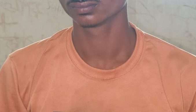 নাগরপুরে ২২ পিস ইয়াবাসহ দুই সহোদর গ্রেফতার