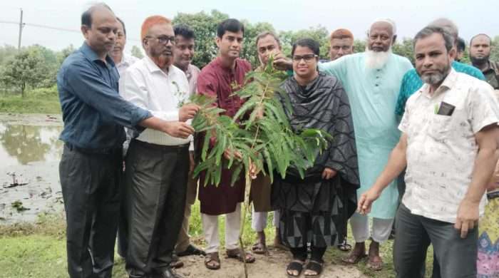 সাপাহারে বৃক্ষরোপণ কর্মসূচি অনুষ্ঠিত