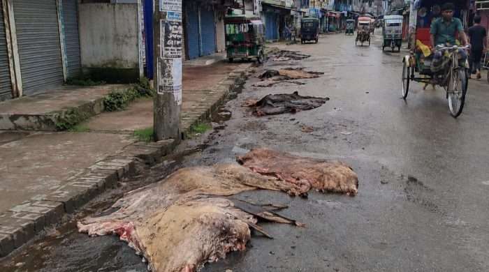 কালিয়াকৈর কোরবানি তিন দিন পার হলেও অপসারণ করা হয়নি কোরবানির বর্জ্য