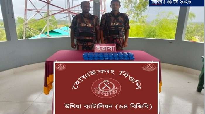 বিজিবির অভিযানে ৮০ হাজার ইয়াবা উদ্ধার, মূল্য প্রায় ২ কোটি ৪০ লাখ টাকা