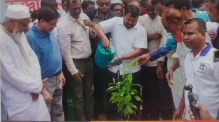 বৃক্ষ রোপন উদ্বোধন করলেন  রাসিক প্রশাসক রিটন
