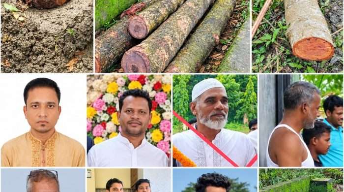 কর্ণফুলীতে গভীর রাতে সরকারি গাছ কেটে জমি দখলের চেষ্টা বিএনপি নেতাসহ সংঘবদ্ধ চক্রের বিরুদ্ধে অভিযোগ, তদন্তের নির্দেশ ইউএনওর