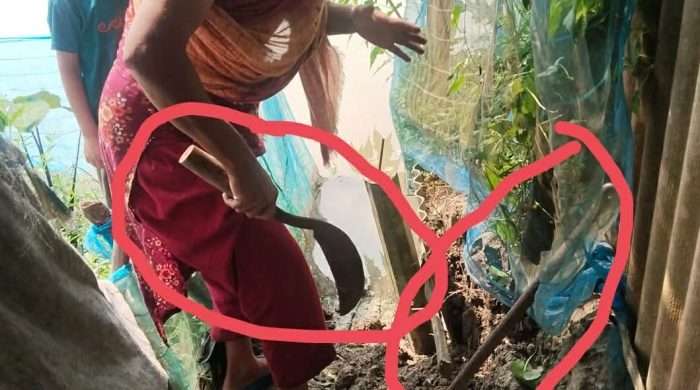 শ্যামনগরে সুন্দরবন প্রেসক্লাবের সাধারণ সম্পাদকের বাড়িতে হামলা, ভাঙচুর ও প্রাণনাশের হুমকি